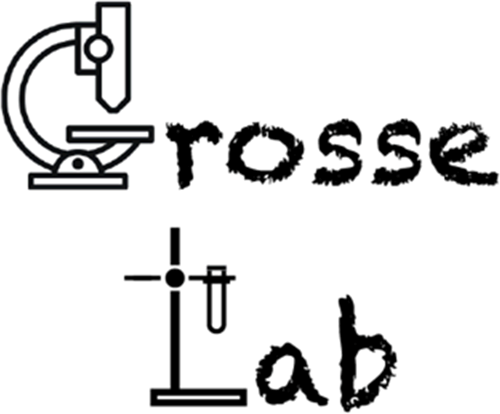 Grosse lab